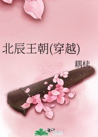北辰王朝(穿越)